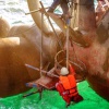 Propeller Repairs Above-water